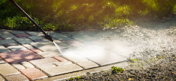 Best Animal Enclosure Cleaning  in Thorntown, IN